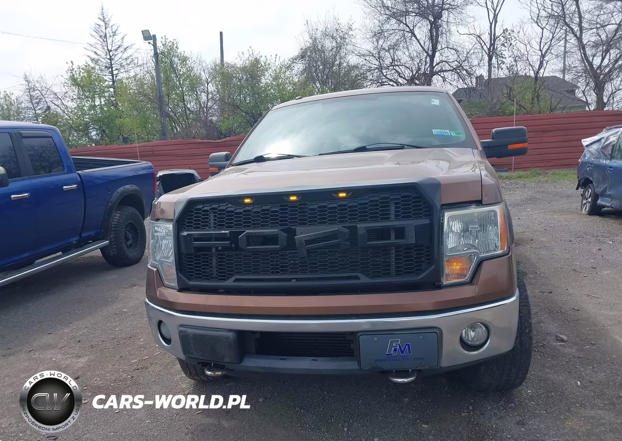 2011 Ford F-150 Xlt VIN:1FTFW1ET9BFC24949 - 12