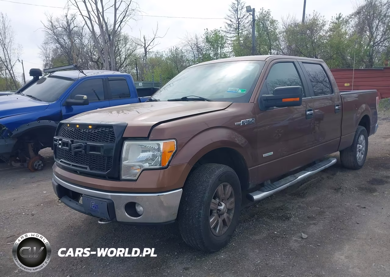 2011 Ford F-150 Xlt VIN:1FTFW1ET9BFC24949 - 2