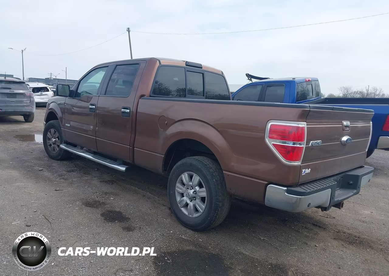 2011 Ford F-150 Xlt VIN:1FTFW1ET9BFC24949 - 3