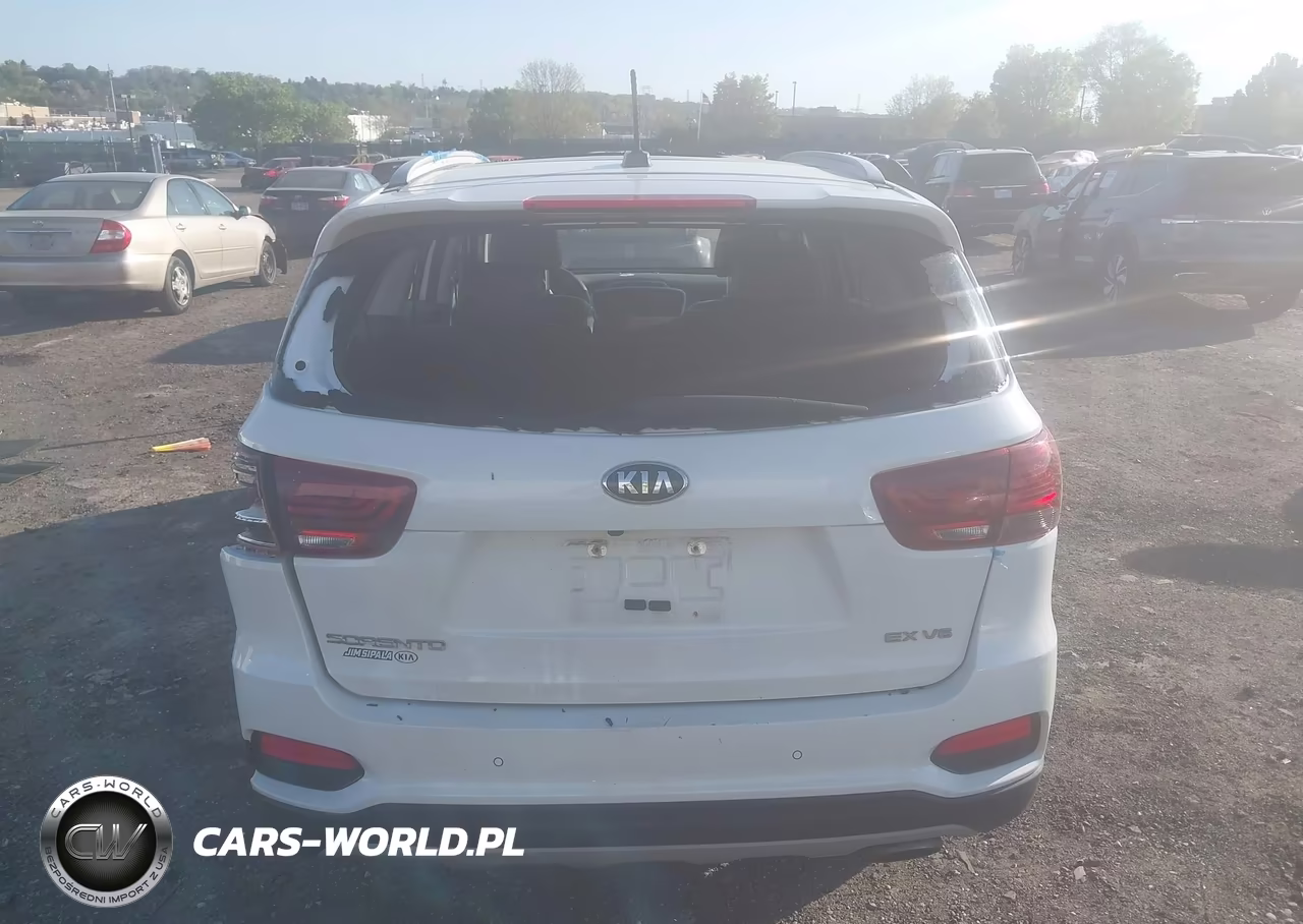 2020 Kia Sorento 3.3L Ex VIN:5XYPH4A56LG710981 - 17