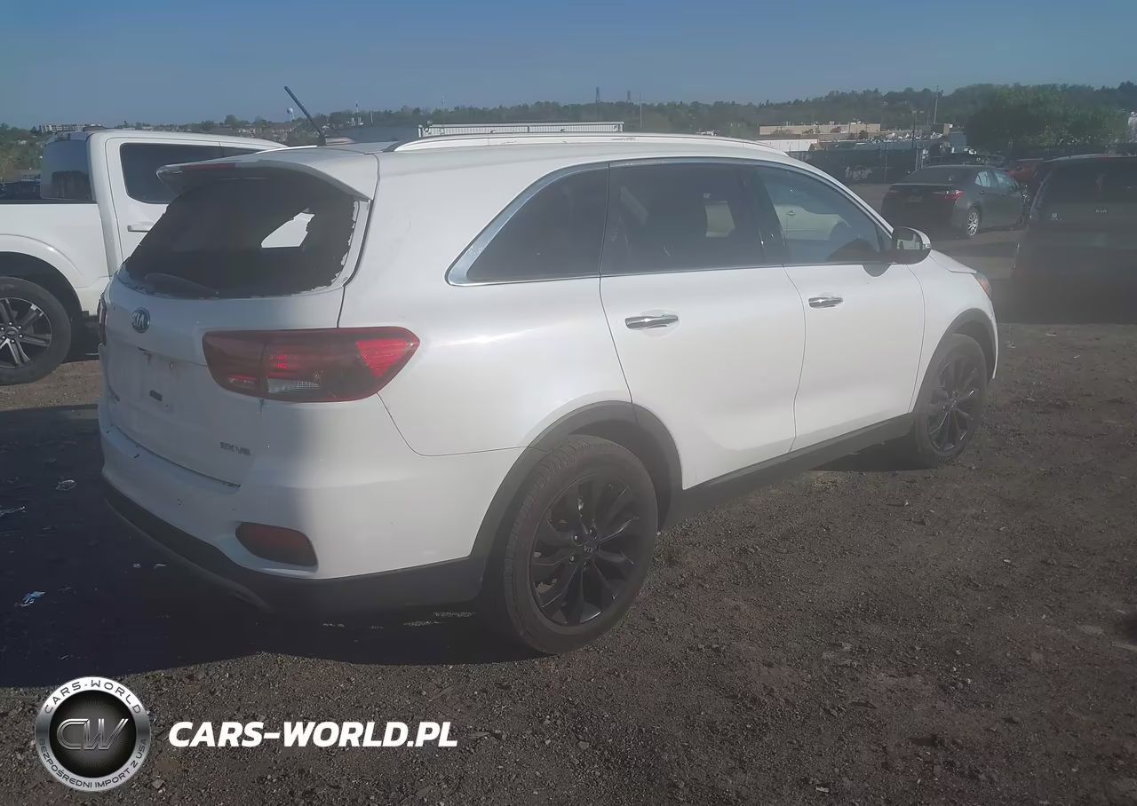 2020 Kia Sorento 3.3L Ex VIN:5XYPH4A56LG710981 - 4