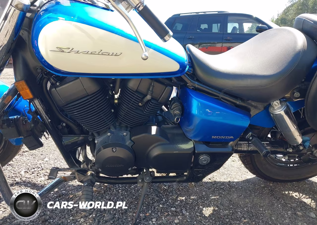 2023 Honda Vt750 C VIN:JH2RC5001PK800131 - 8