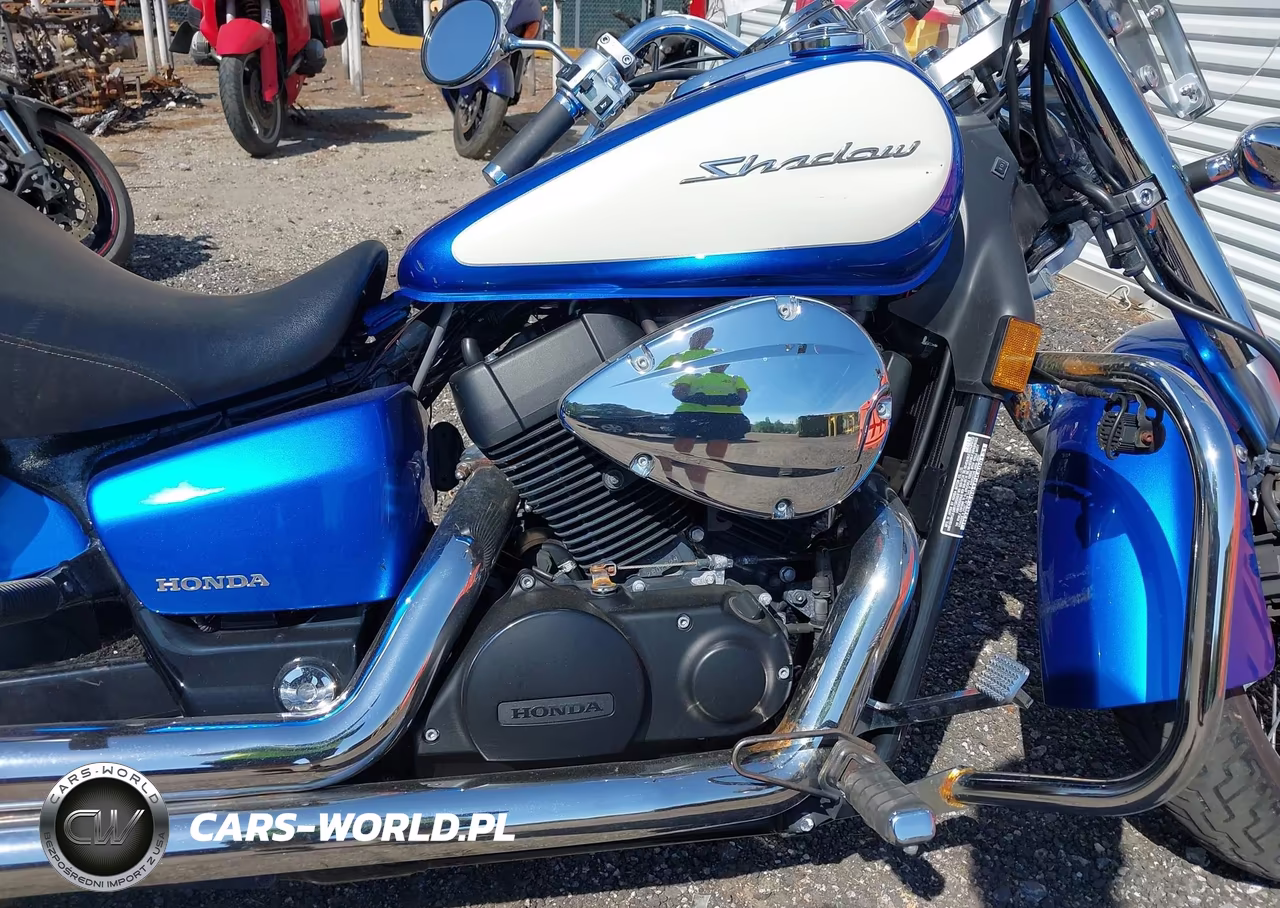 2023 Honda Vt750 C VIN:JH2RC5001PK800131 - 9