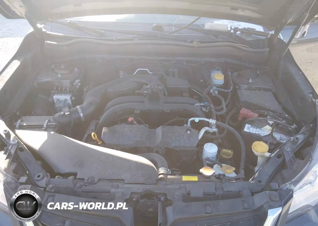 2018 Subaru Forester 2.5I VIN:JF2SJABC9JH544326 - 10