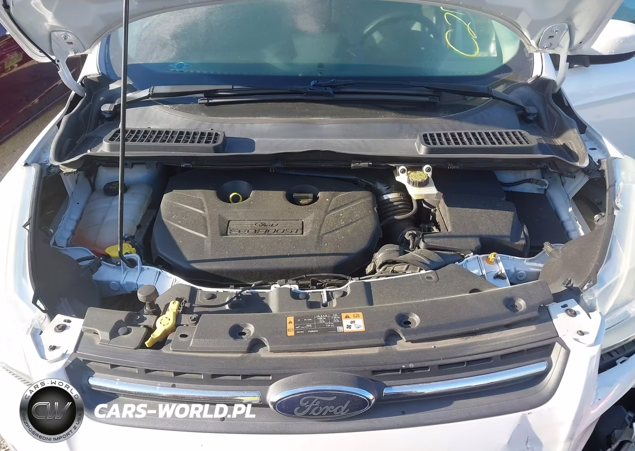 2014 Ford Escape Se VIN:1FMCU0G94EUC27323 - 10