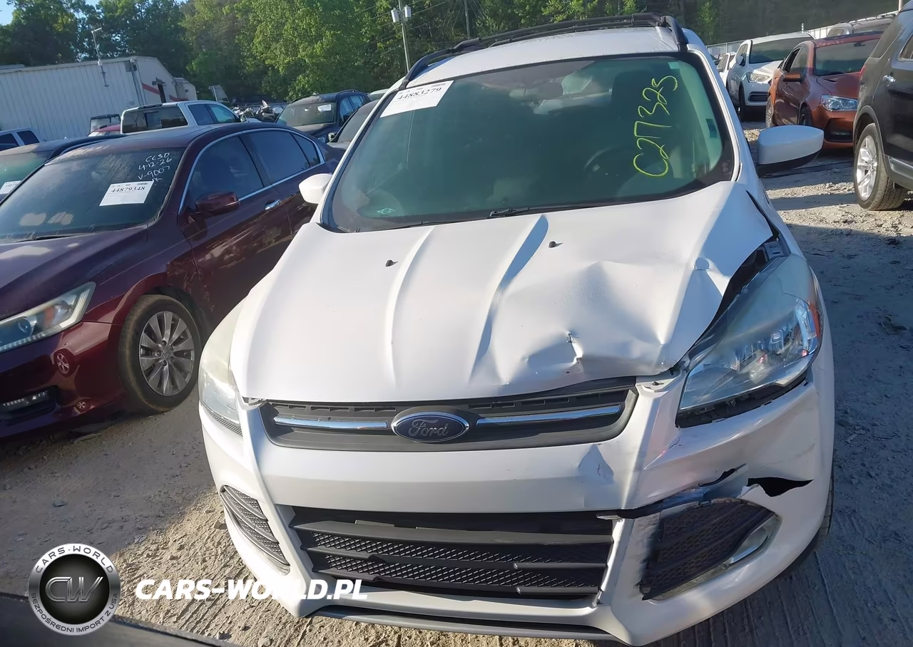2014 Ford Escape Se VIN:1FMCU0G94EUC27323 - 12