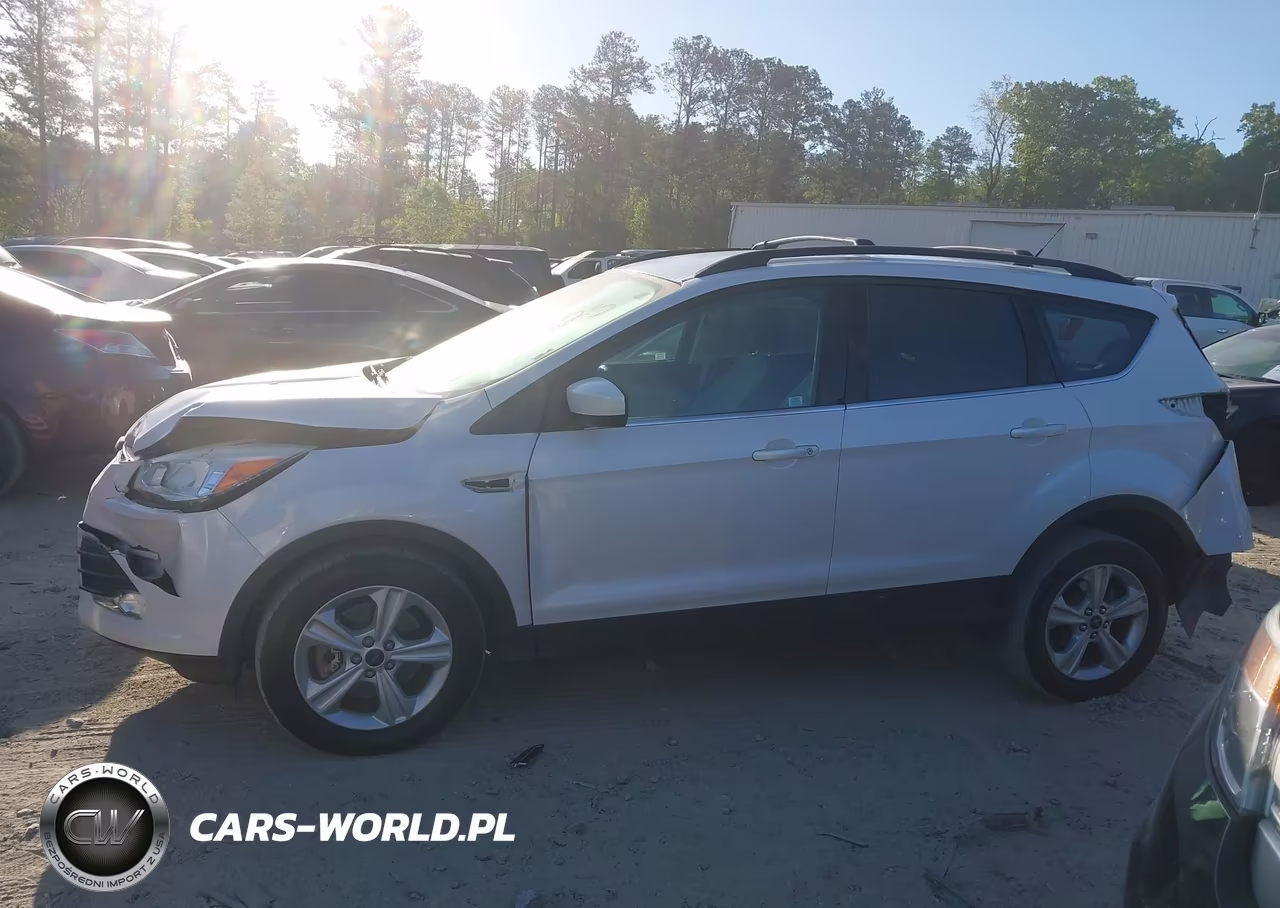 2014 Ford Escape Se VIN:1FMCU0G94EUC27323 - 14