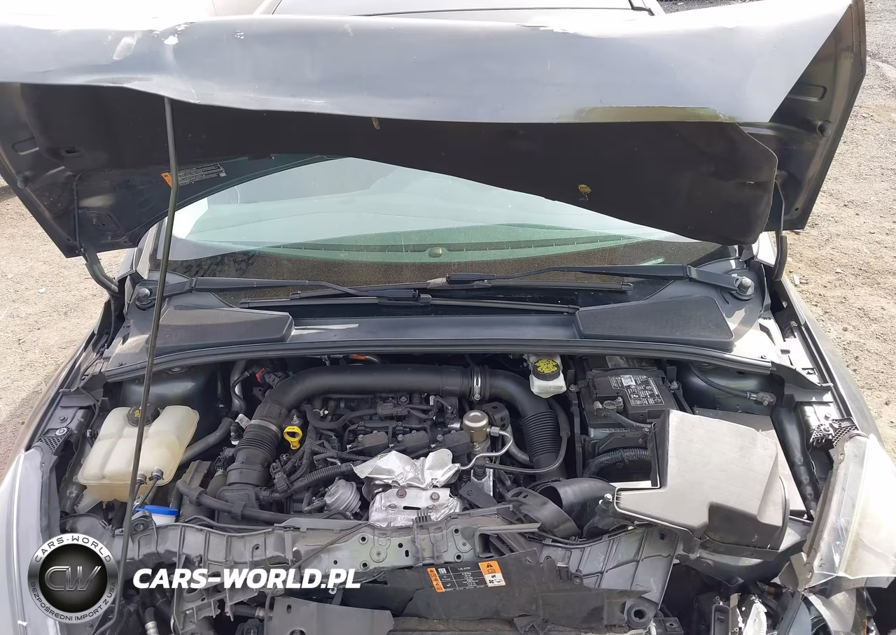 2018 Ford Focus Se VIN:1FADP3FE5JL219785 - 10