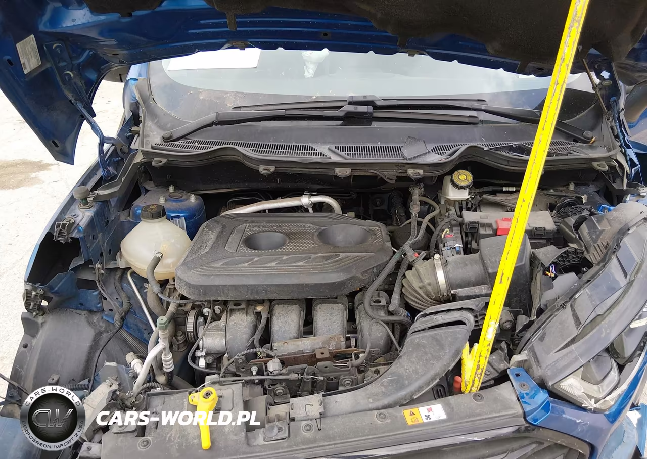 2021 Ford Ecosport Ses VIN:MAJ6S3JL4MC400877 - 10
