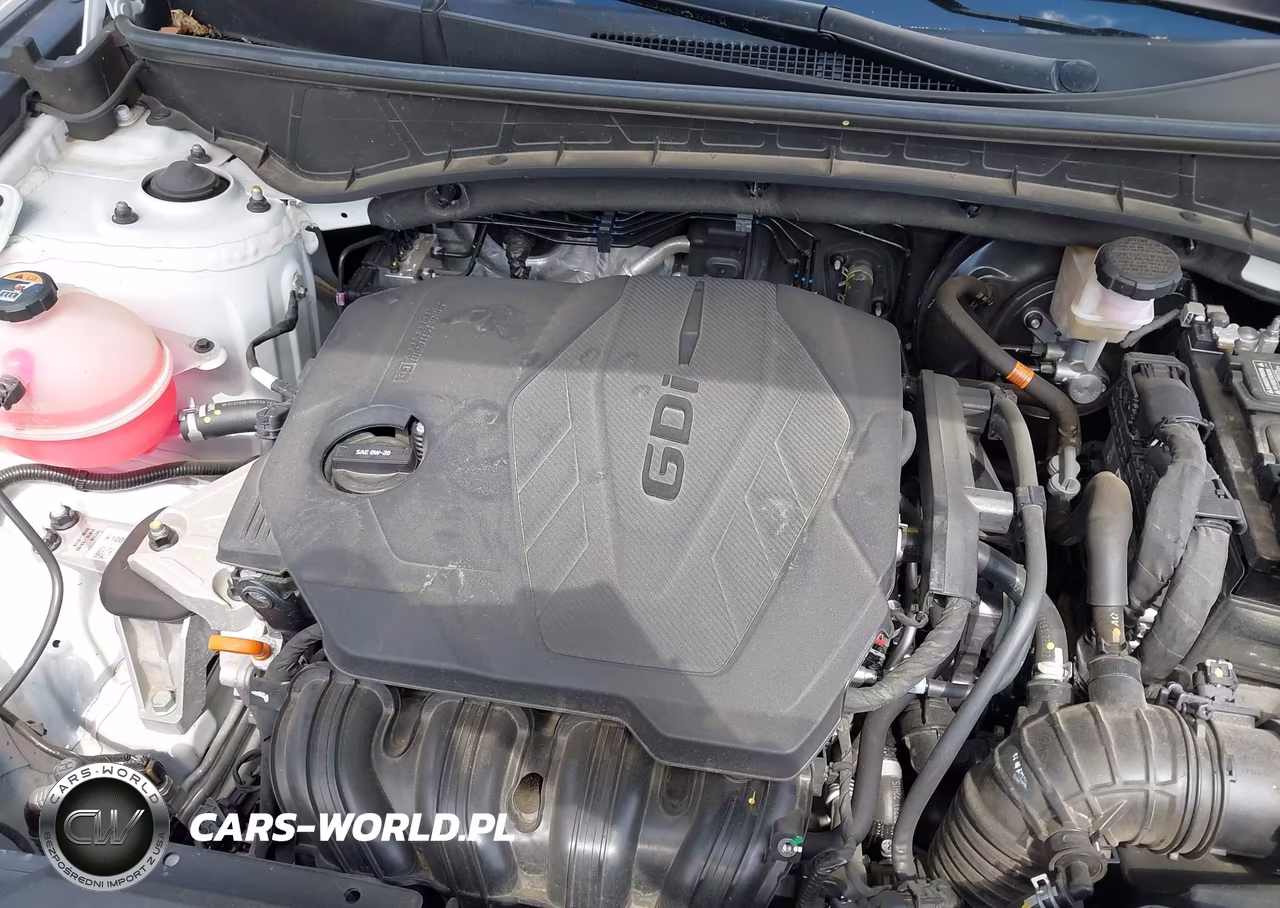 2023 Hyundai Tucson Limited VIN:5NMJECAE7PH205634 - 10