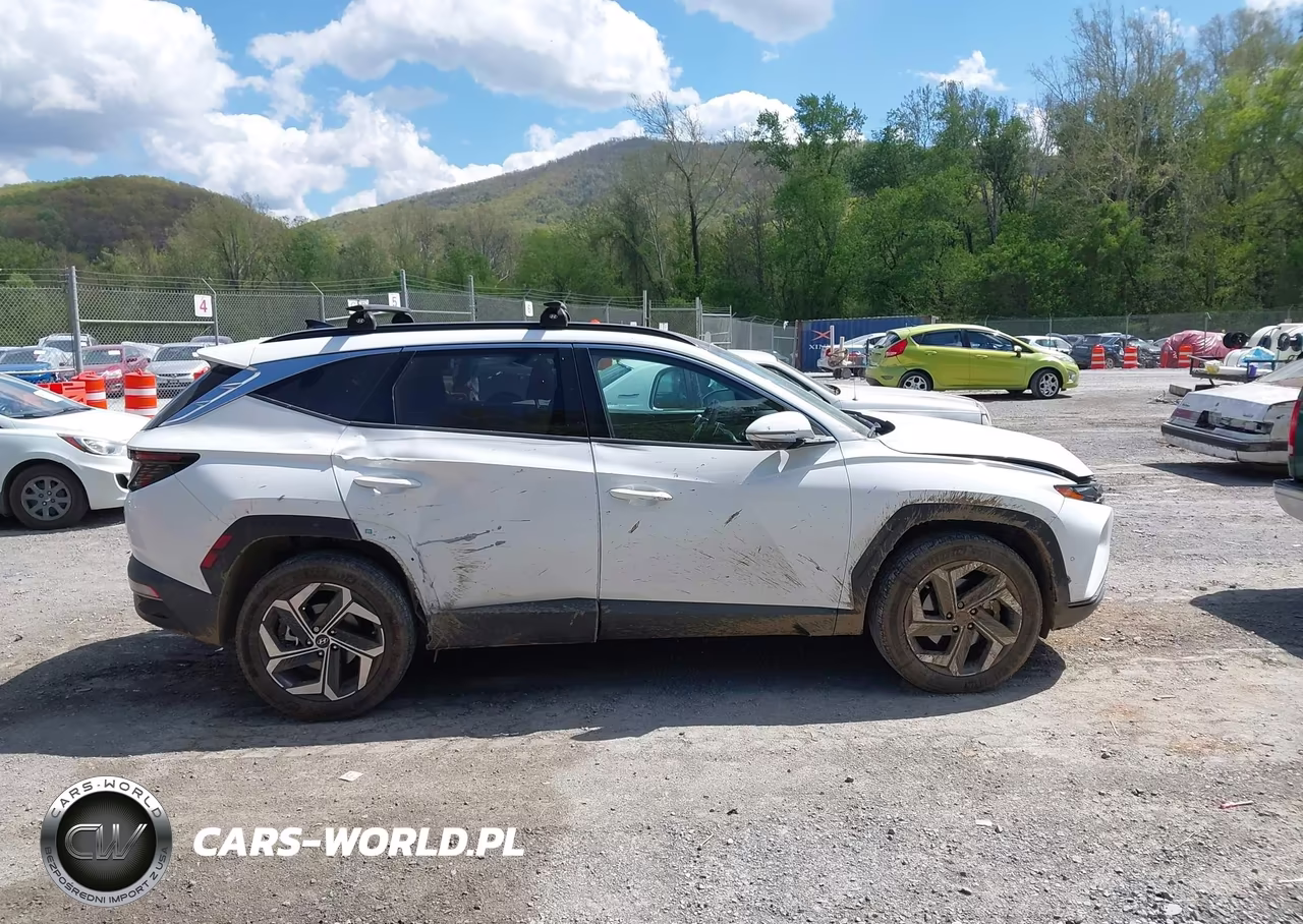 2023 Hyundai Tucson Limited VIN:5NMJECAE7PH205634 - 13
