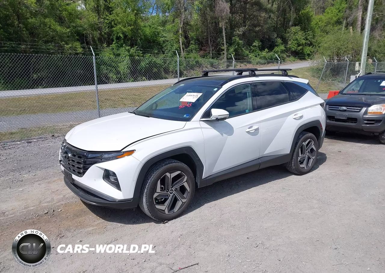 2023 Hyundai Tucson Limited VIN:5NMJECAE7PH205634 - 2