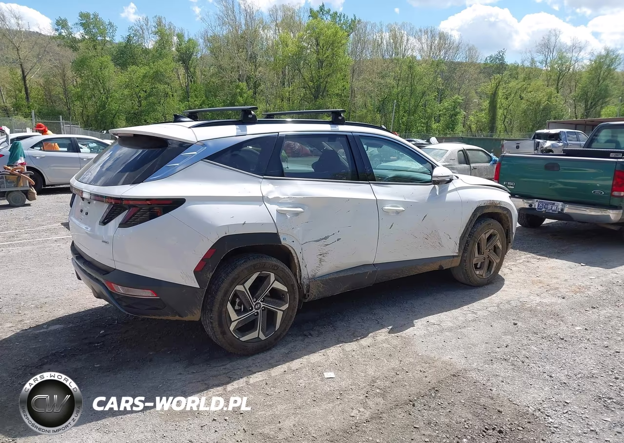 2023 Hyundai Tucson Limited VIN:5NMJECAE7PH205634 - 4