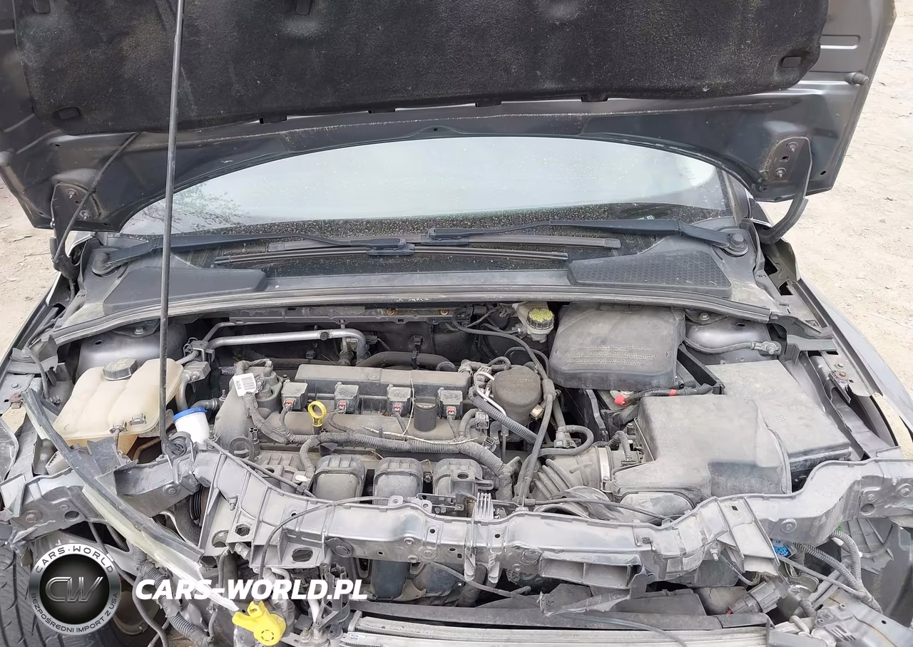 2014 Ford Focus Se VIN:1FADP3F20EL429092 - 10