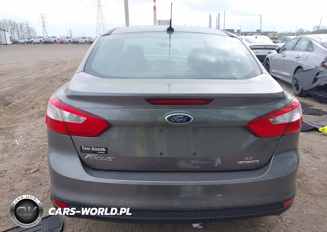 2014 Ford Focus Se VIN:1FADP3F20EL429092 - 17