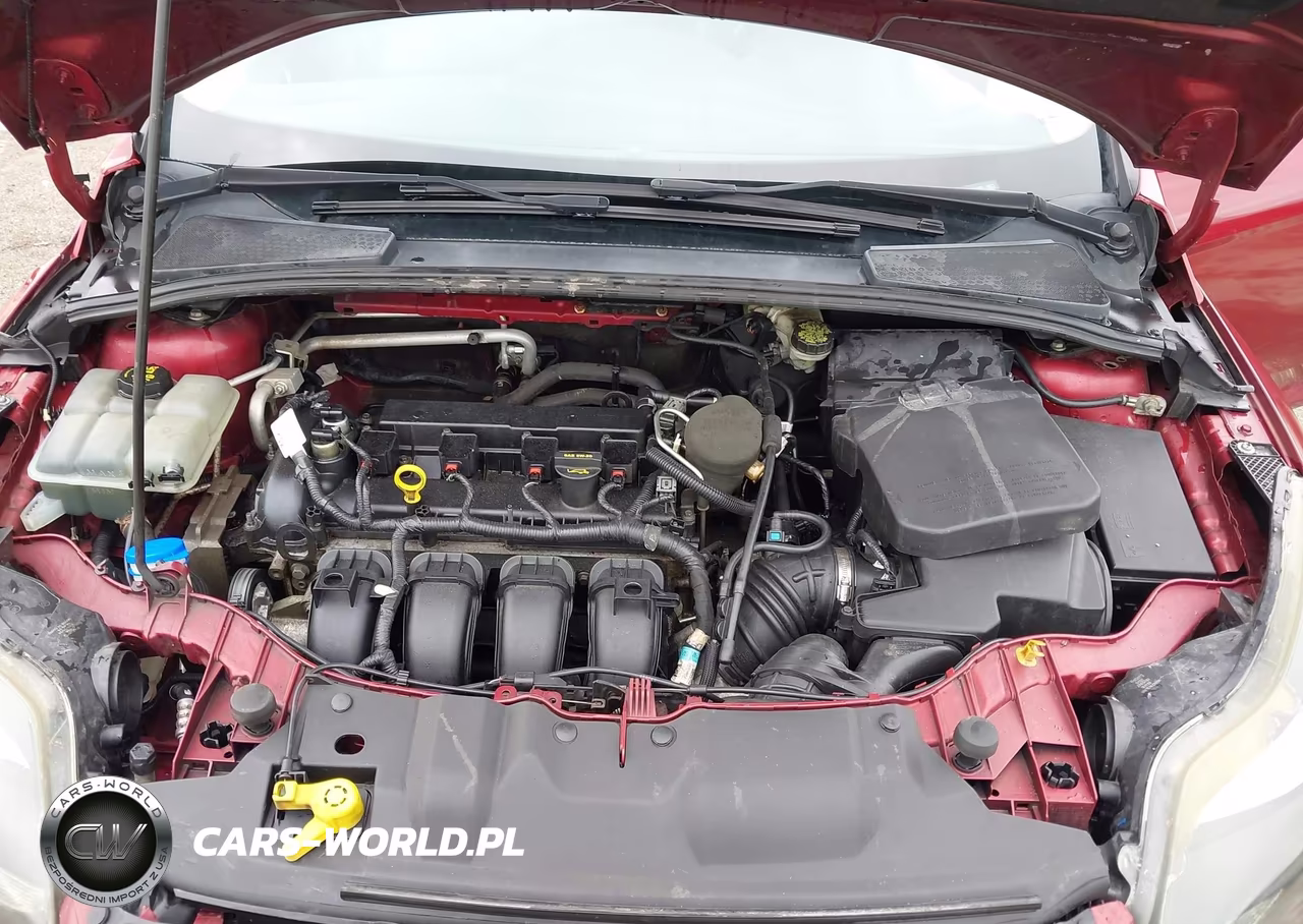 2014 Ford Focus Se VIN:1FADP3F28EL181433 - 10