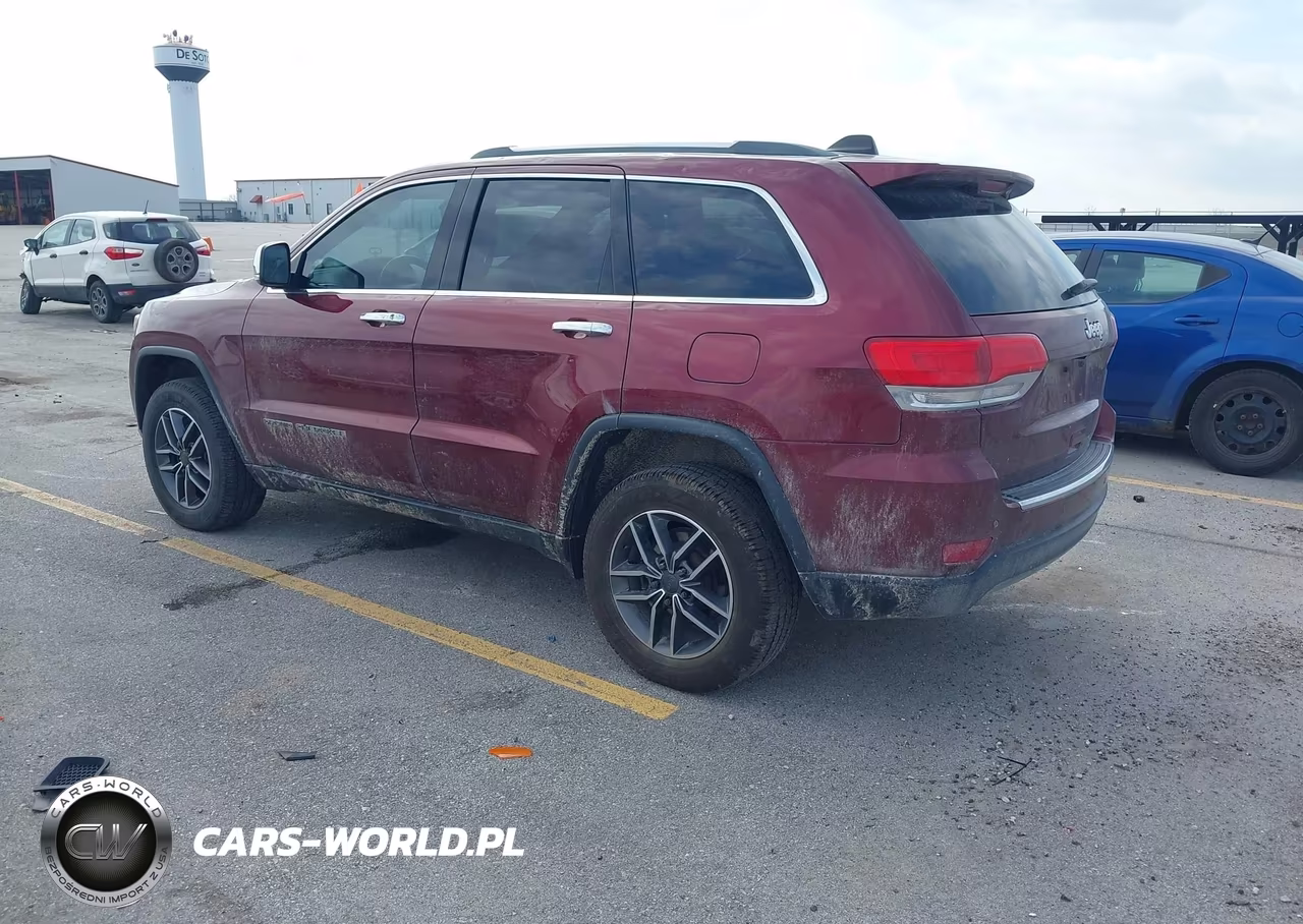 2019 Jeep Grand Cherokee Limited 4X4 VIN:1C4RJFBG9KC745851 - 3