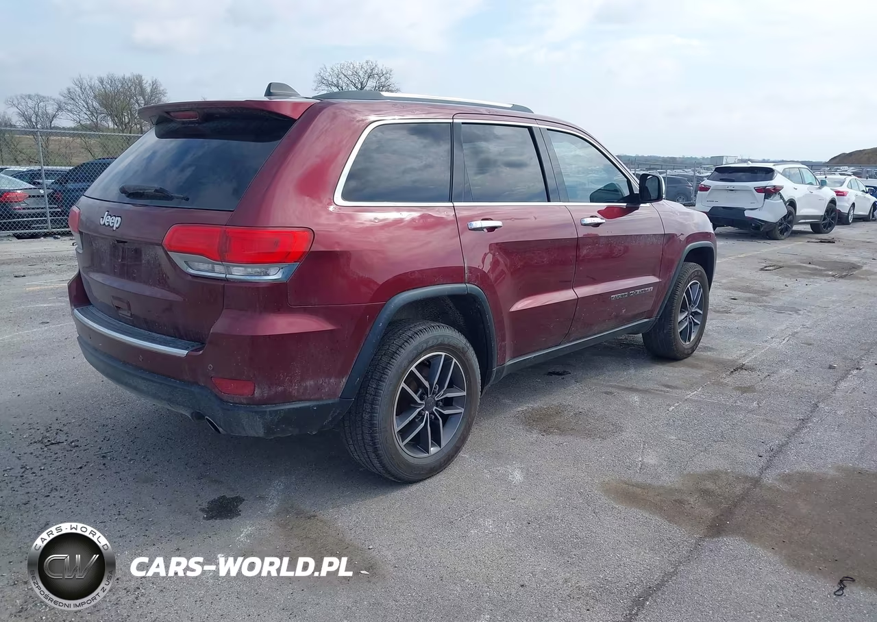 2019 Jeep Grand Cherokee Limited 4X4 VIN:1C4RJFBG9KC745851 - 4