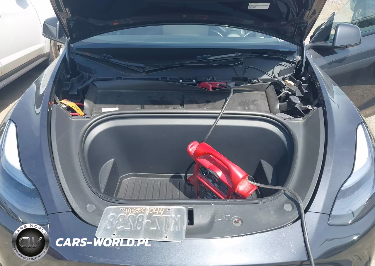 2024 Tesla Model Y Long Range Single Motor Rear-Wheel Drive-Rwd VIN:7SAYGDED5RF002491 - 10