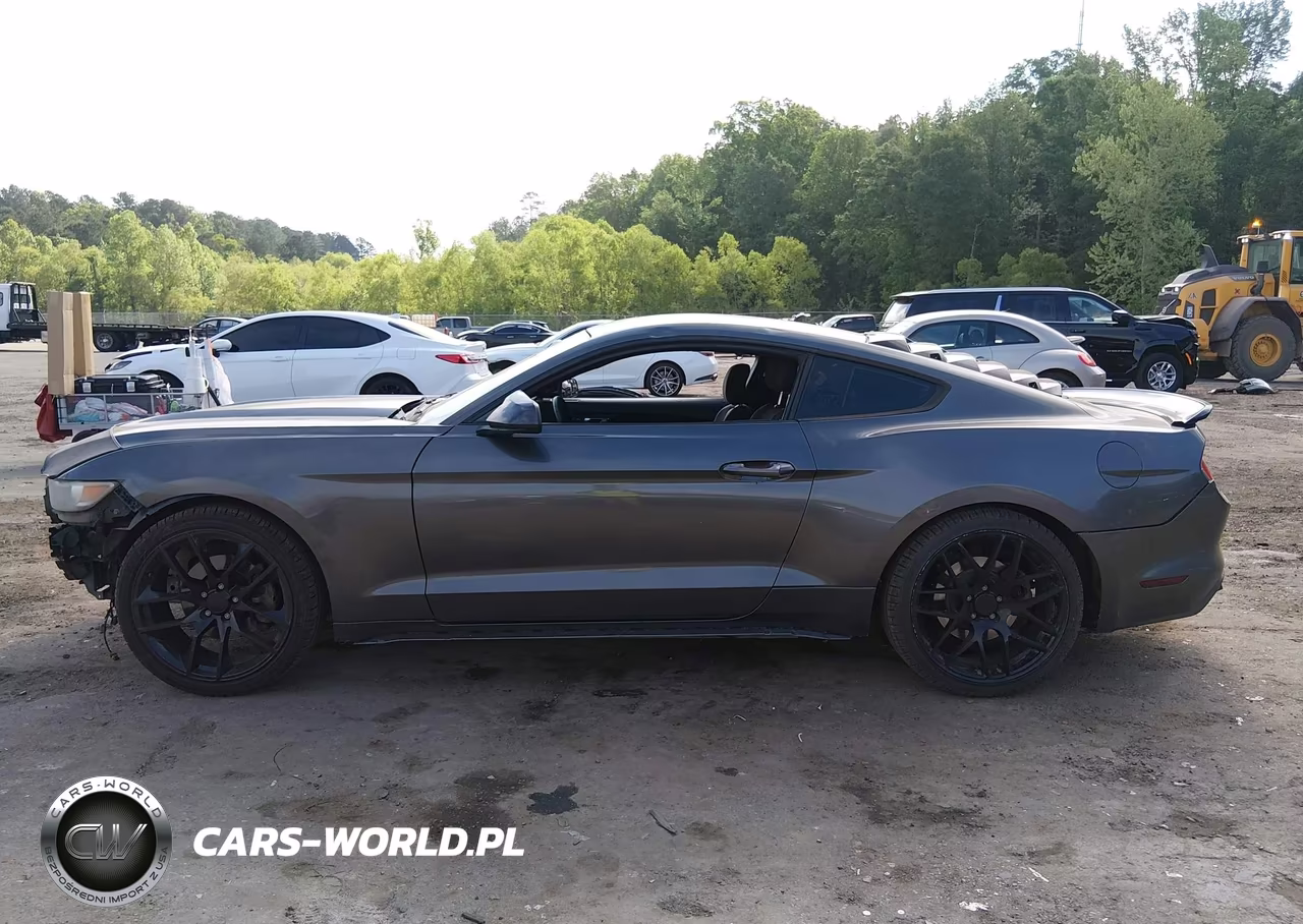 2015 Ford Mustang Ecoboost VIN:1FA6P8TH6F5433121 - 15