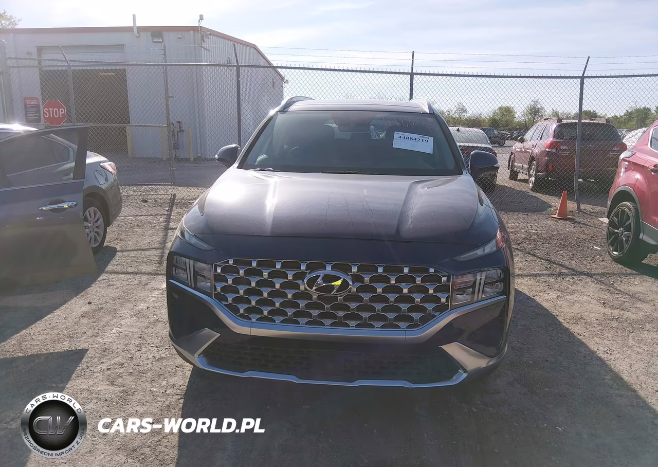 2023 Hyundai Santa Fe Sel VIN:5NMS3DAJ1PH558450 - 12