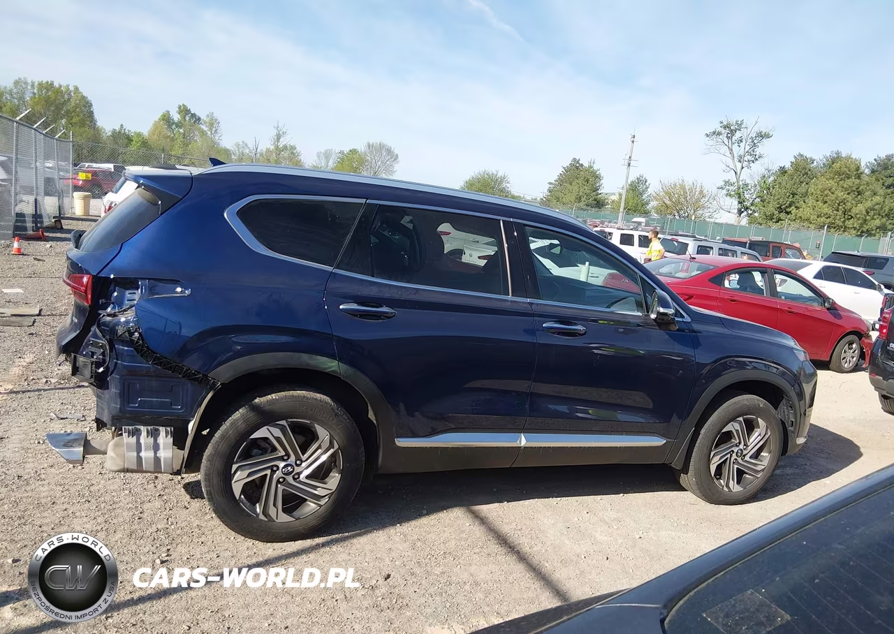 2023 Hyundai Santa Fe Sel VIN:5NMS3DAJ1PH558450 - 13