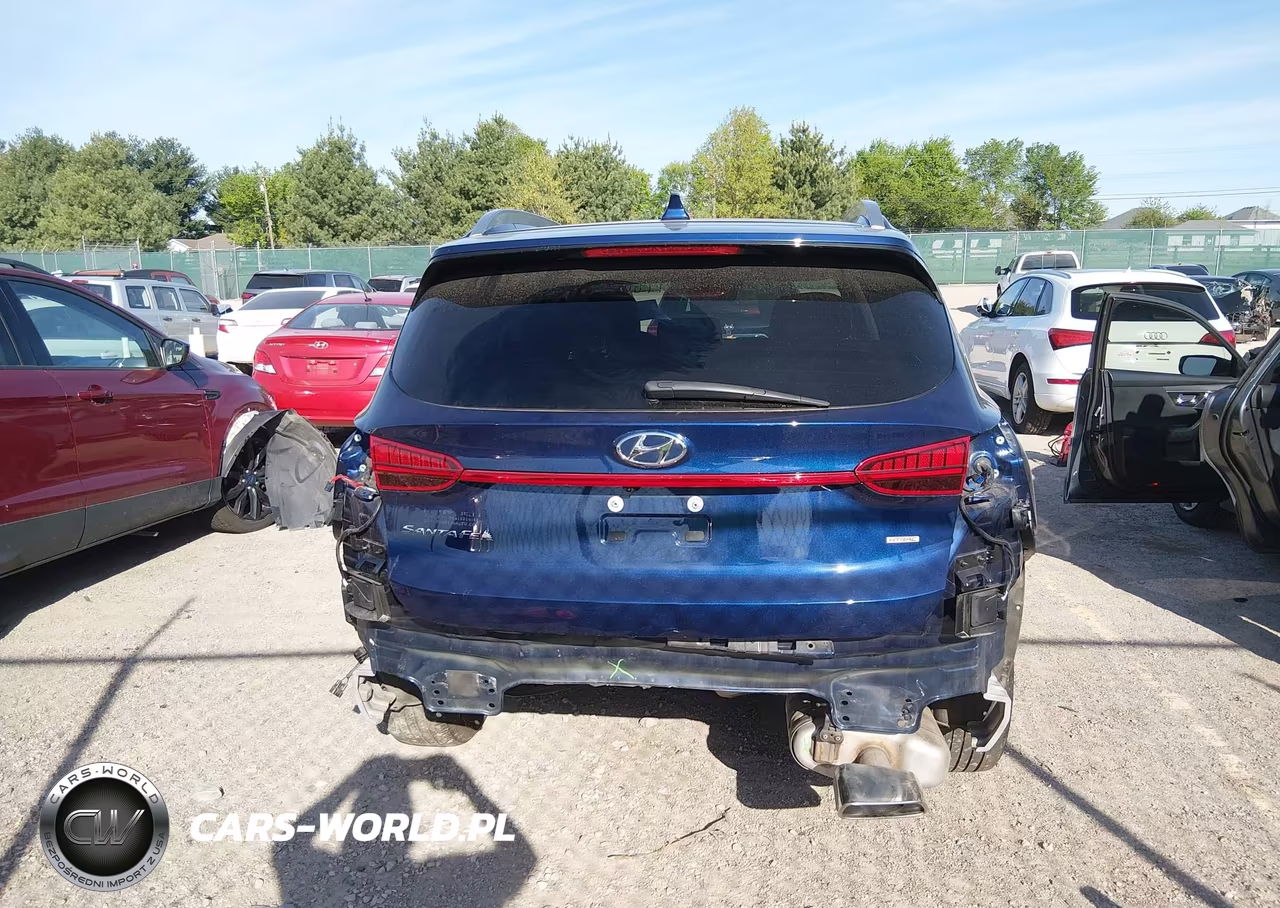 2023 Hyundai Santa Fe Sel VIN:5NMS3DAJ1PH558450 - 16