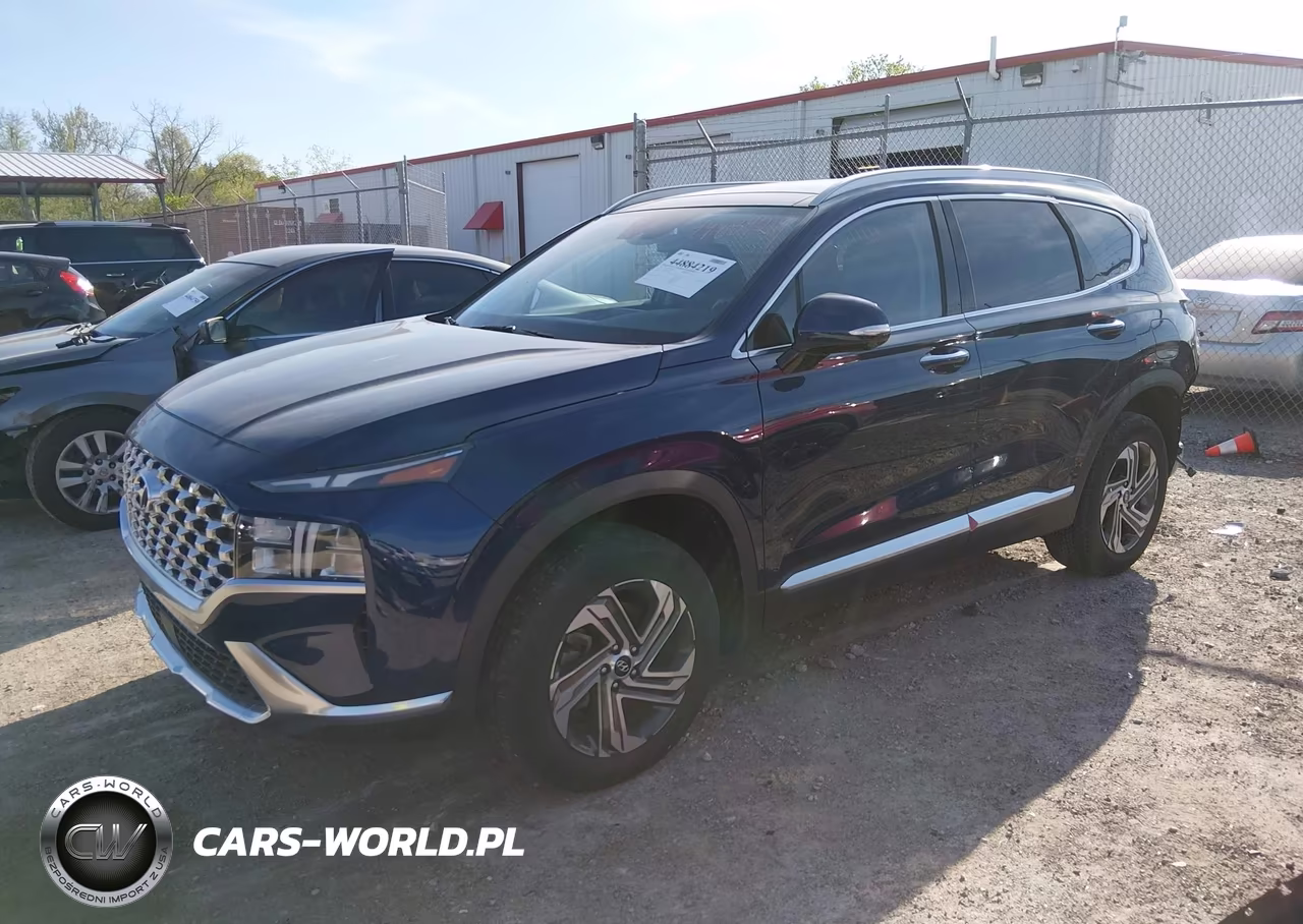 2023 Hyundai Santa Fe Sel VIN:5NMS3DAJ1PH558450 - 2
