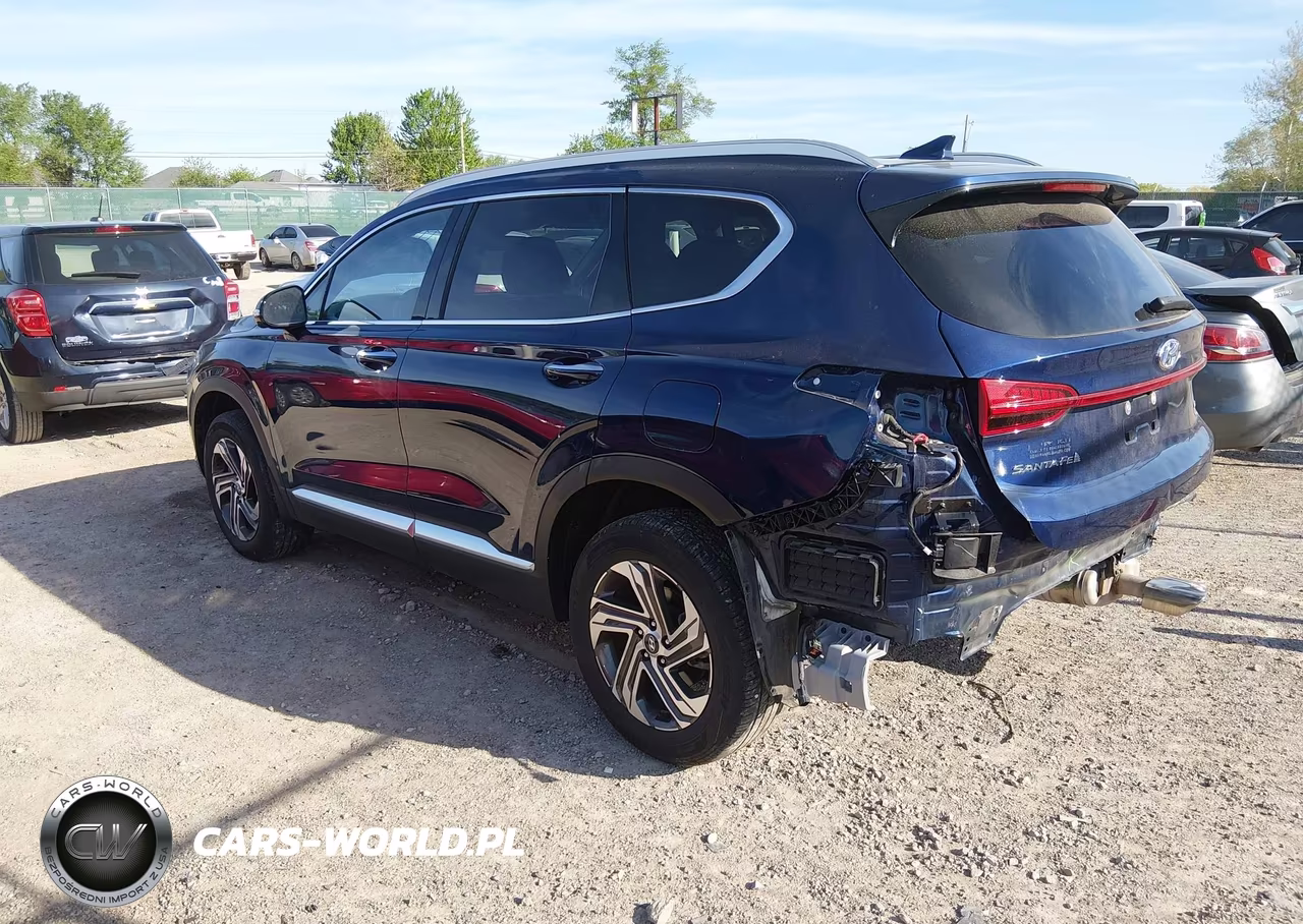 2023 Hyundai Santa Fe Sel VIN:5NMS3DAJ1PH558450 - 3