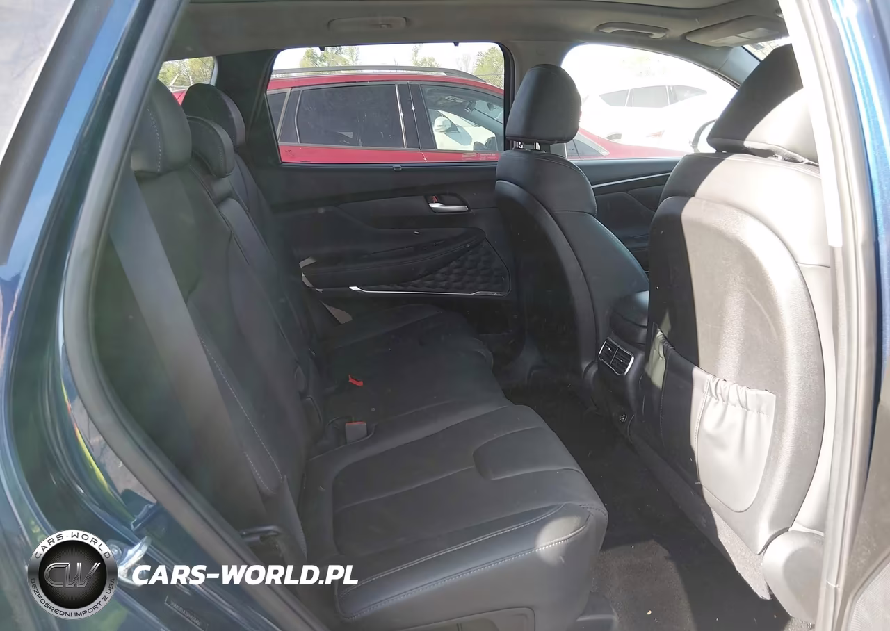 2023 Hyundai Santa Fe Sel VIN:5NMS3DAJ1PH558450 - 8