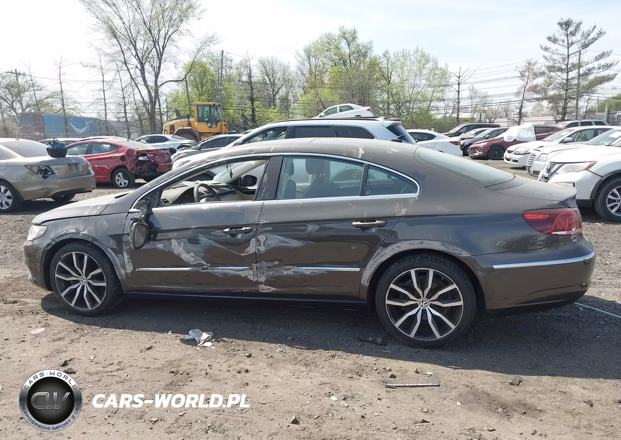 2015 Volkswagen Cc 2.0T Executive VIN:WVWRP7AN7FE824661 - 13