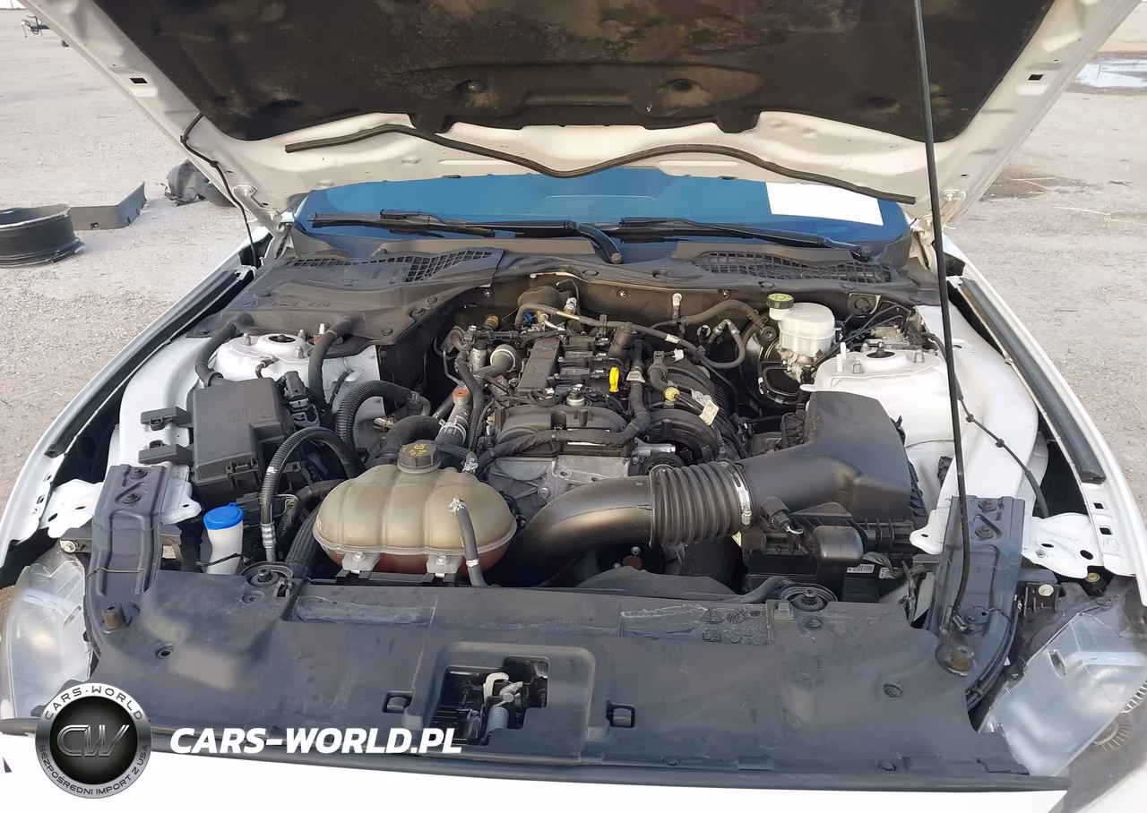 2021 Ford Mustang Ecoboost Premium Fastback VIN:1FA6P8TH2M5119611 - 10