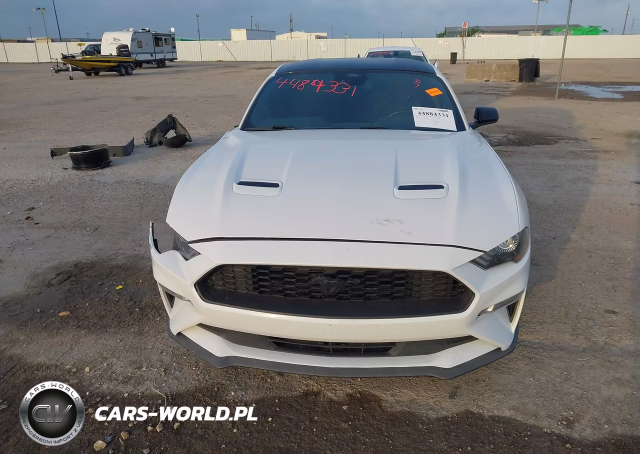 2021 Ford Mustang Ecoboost Premium Fastback VIN:1FA6P8TH2M5119611 - 13