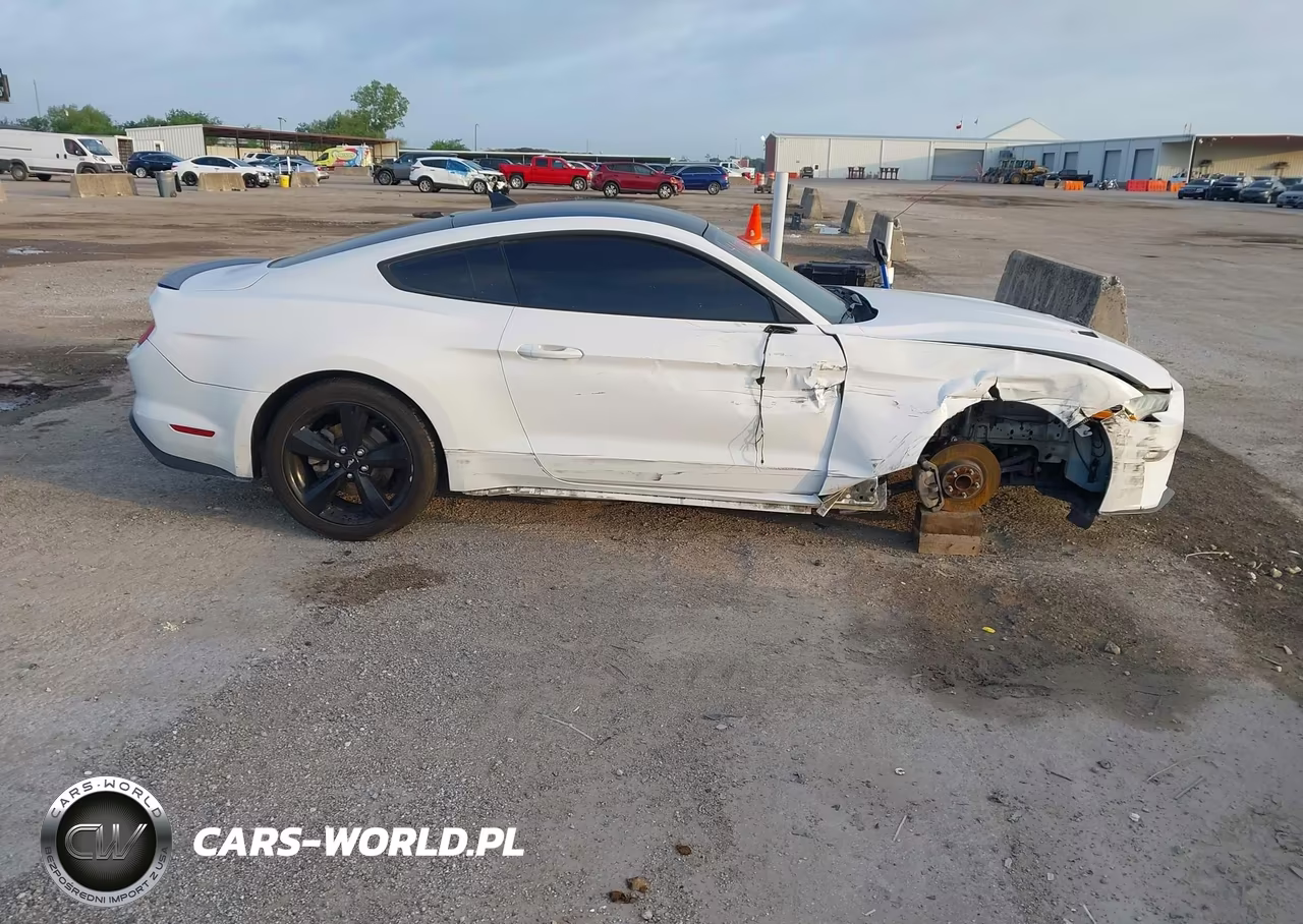 2021 Ford Mustang Ecoboost Premium Fastback VIN:1FA6P8TH2M5119611 - 14