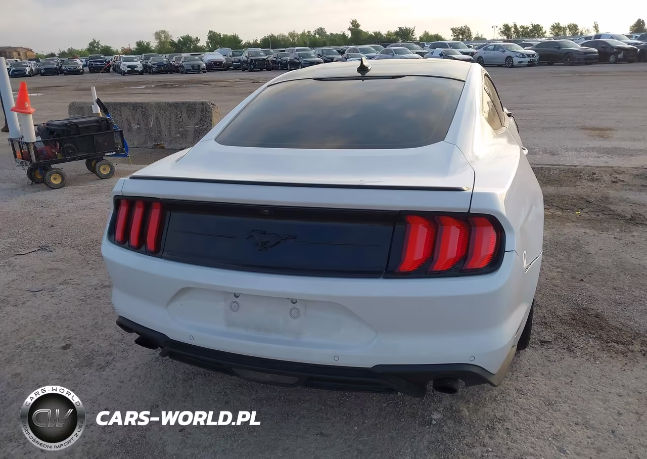 2021 Ford Mustang Ecoboost Premium Fastback VIN:1FA6P8TH2M5119611 - 17