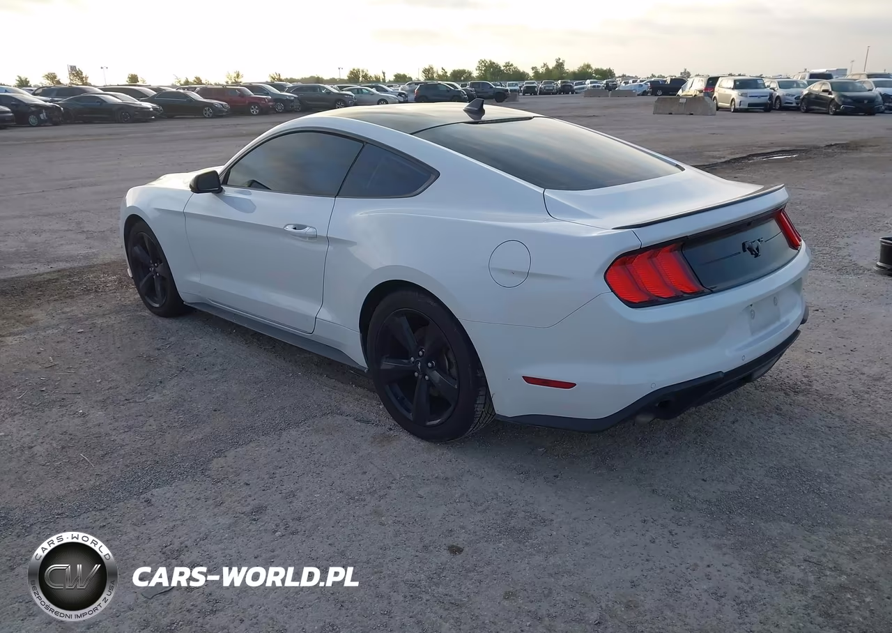 2021 Ford Mustang Ecoboost Premium Fastback VIN:1FA6P8TH2M5119611 - 3
