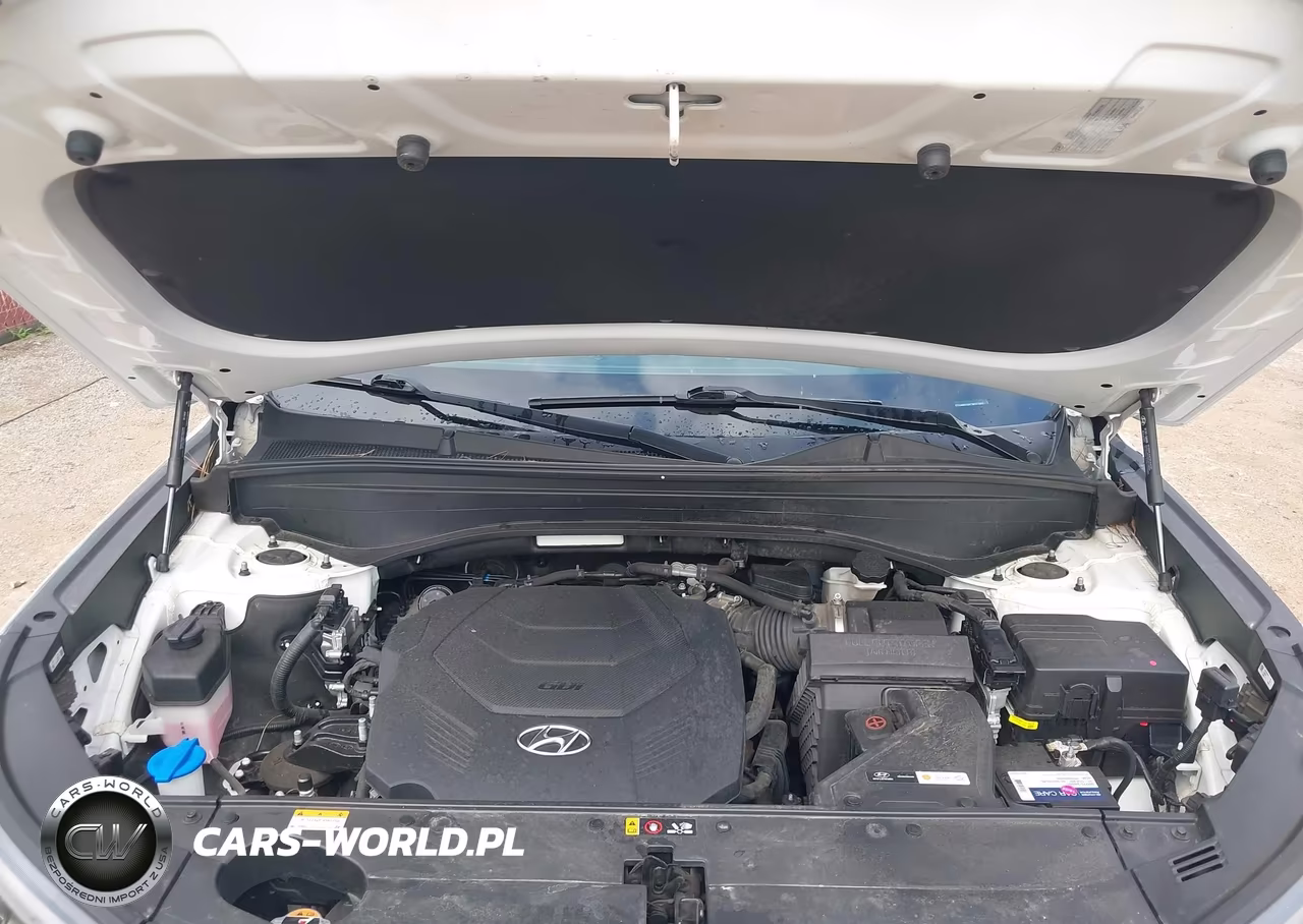 2021 Hyundai Palisade Sel VIN:KM8R24HE7MU227463 - 10