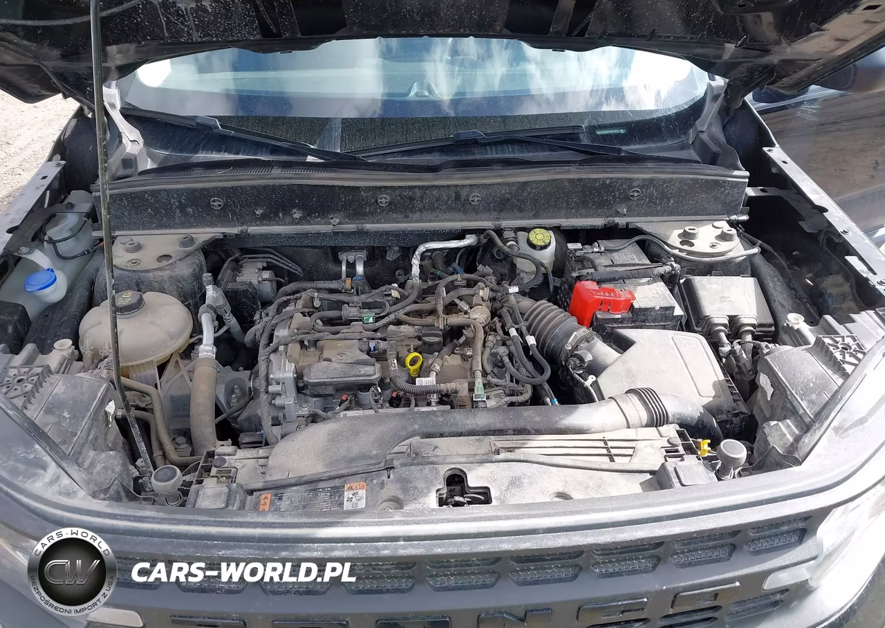 2023 Ford Bronco Sport VIN:3FMCR9A66PRD91915 - 10