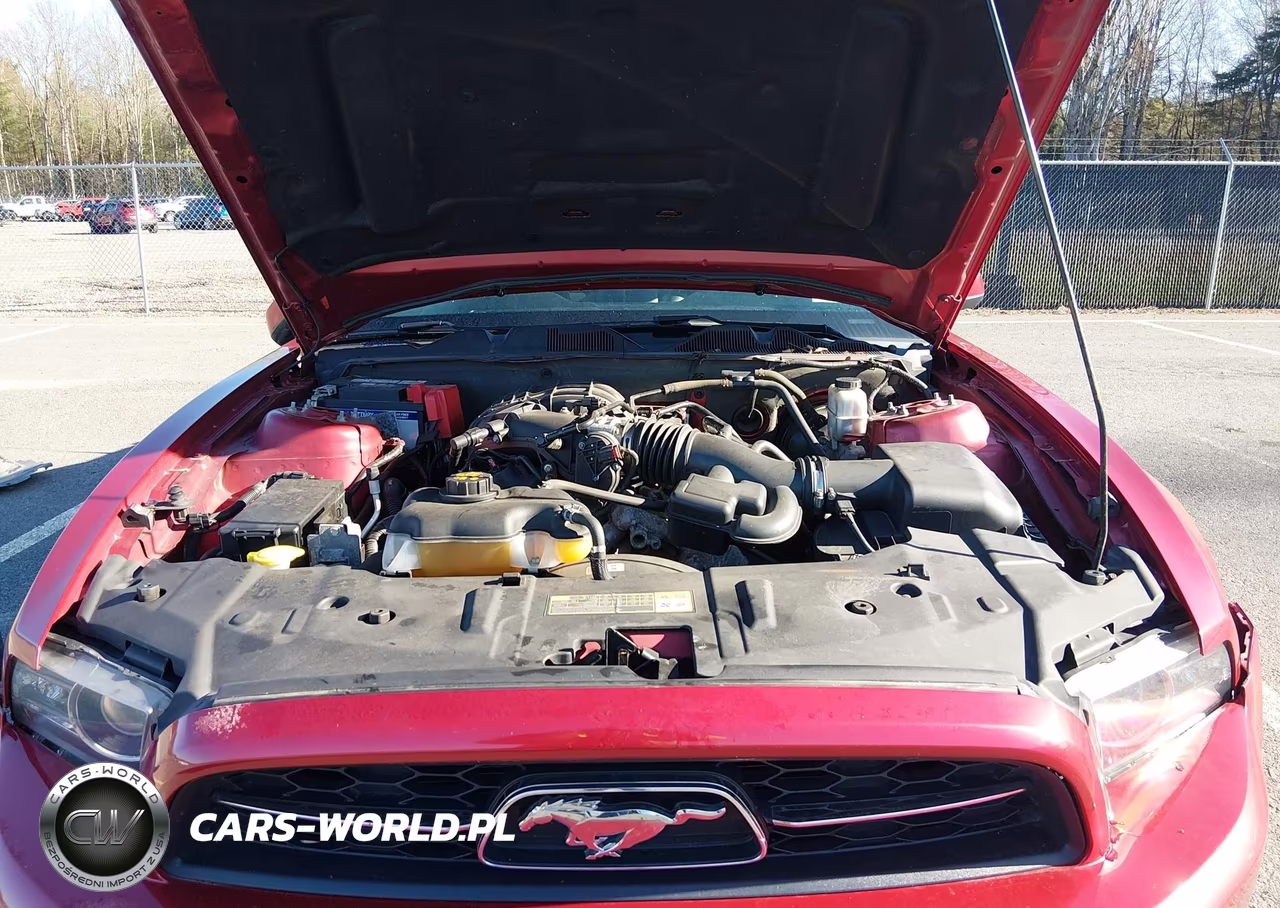 2013 Ford Mustang V6 Premium VIN:1ZVBP8AM3D5259947 - 10