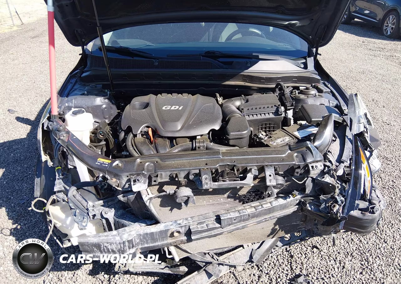 2015 Kia Optima Lx VIN:KNAGM4A75F5627419 - 10