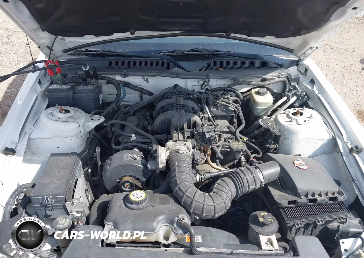 2005 Ford Mustang V6 Deluxe-V6 Premium VIN:1ZVFT80N955198841 - 10
