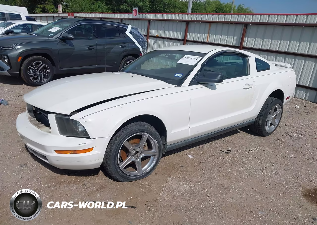 2005 Ford Mustang V6 Deluxe-V6 Premium VIN:1ZVFT80N955198841 - 2