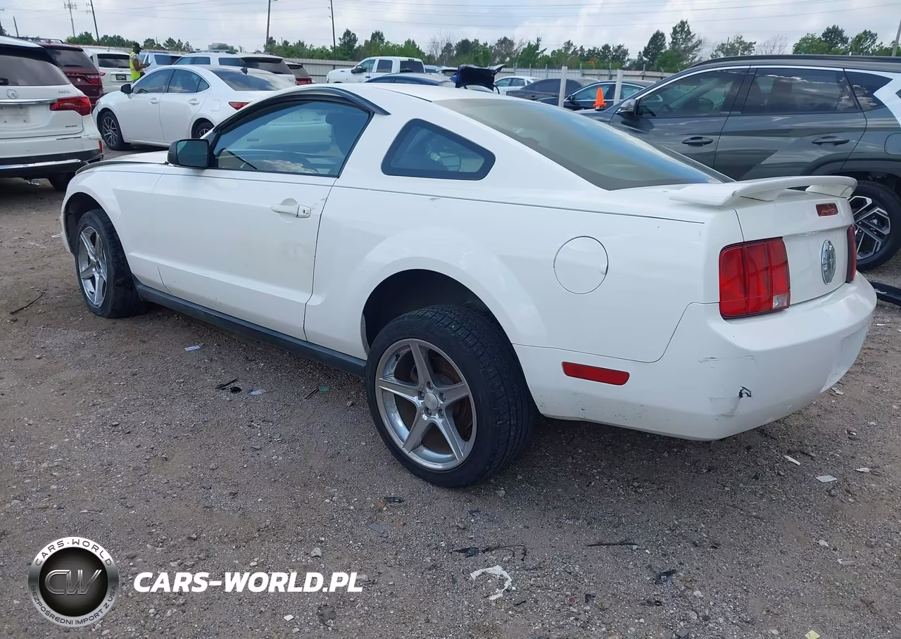 2005 Ford Mustang V6 Deluxe-V6 Premium VIN:1ZVFT80N955198841 - 3