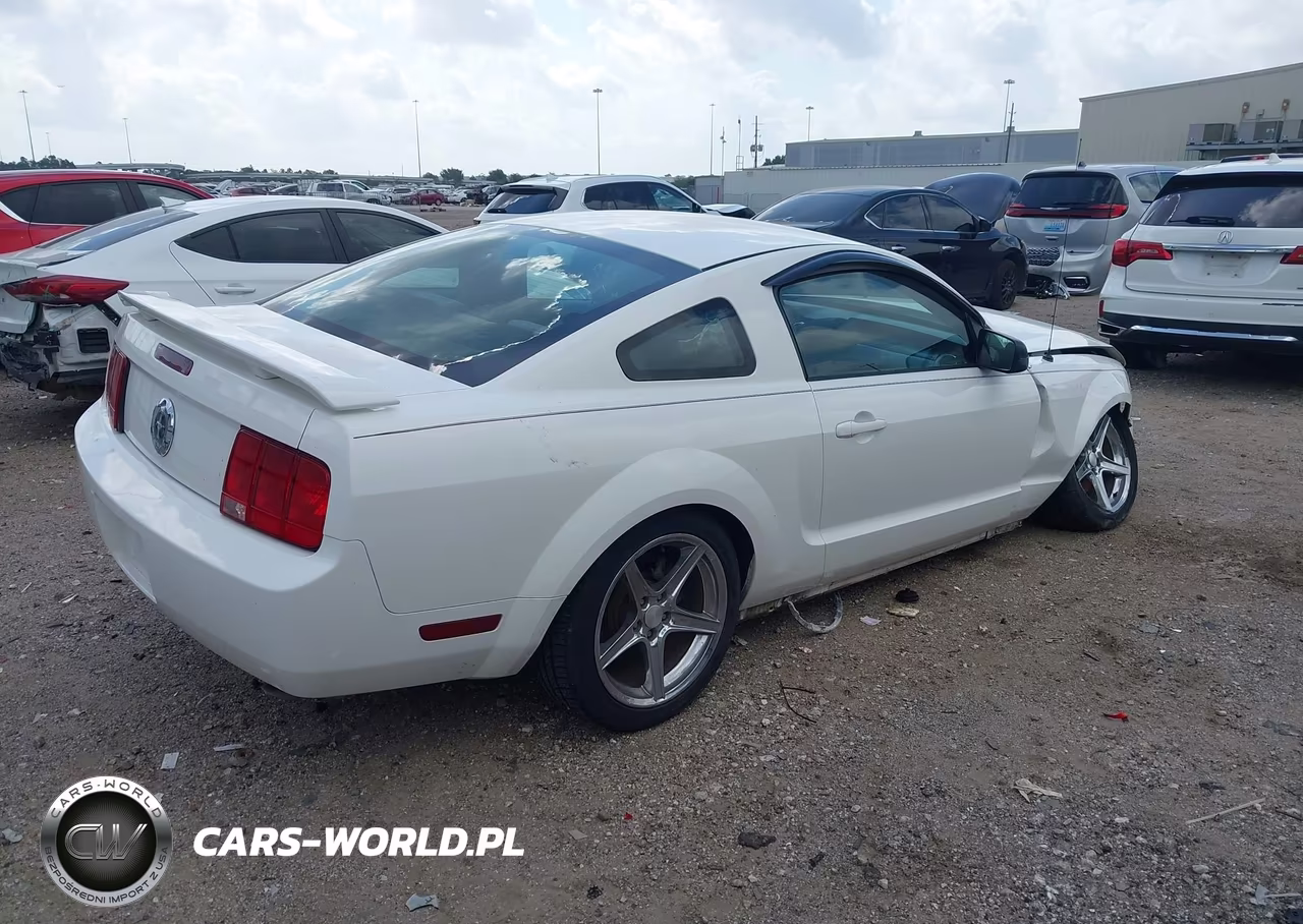 2005 Ford Mustang V6 Deluxe-V6 Premium VIN:1ZVFT80N955198841 - 4