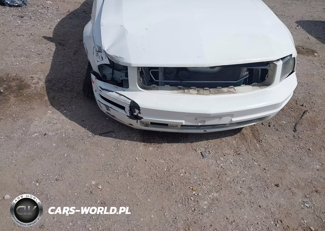 2005 Ford Mustang V6 Deluxe-V6 Premium VIN:1ZVFT80N955198841 - 6