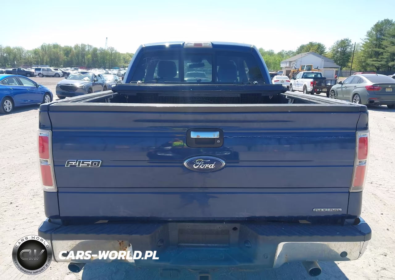 2011 Ford F-150 Xlt VIN:1FTFX1EF3BFA58077 - 16