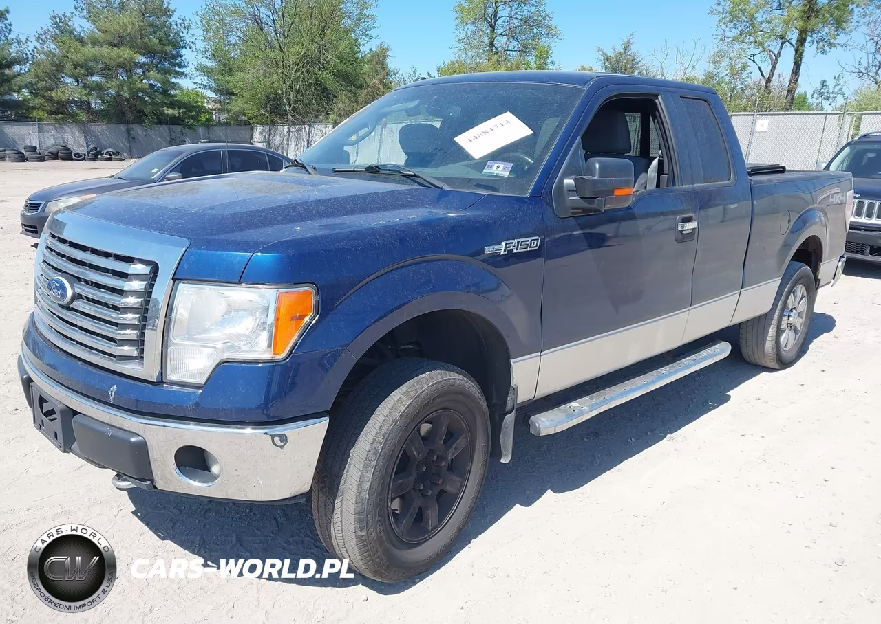 2011 Ford F-150 Xlt VIN:1FTFX1EF3BFA58077 - 2