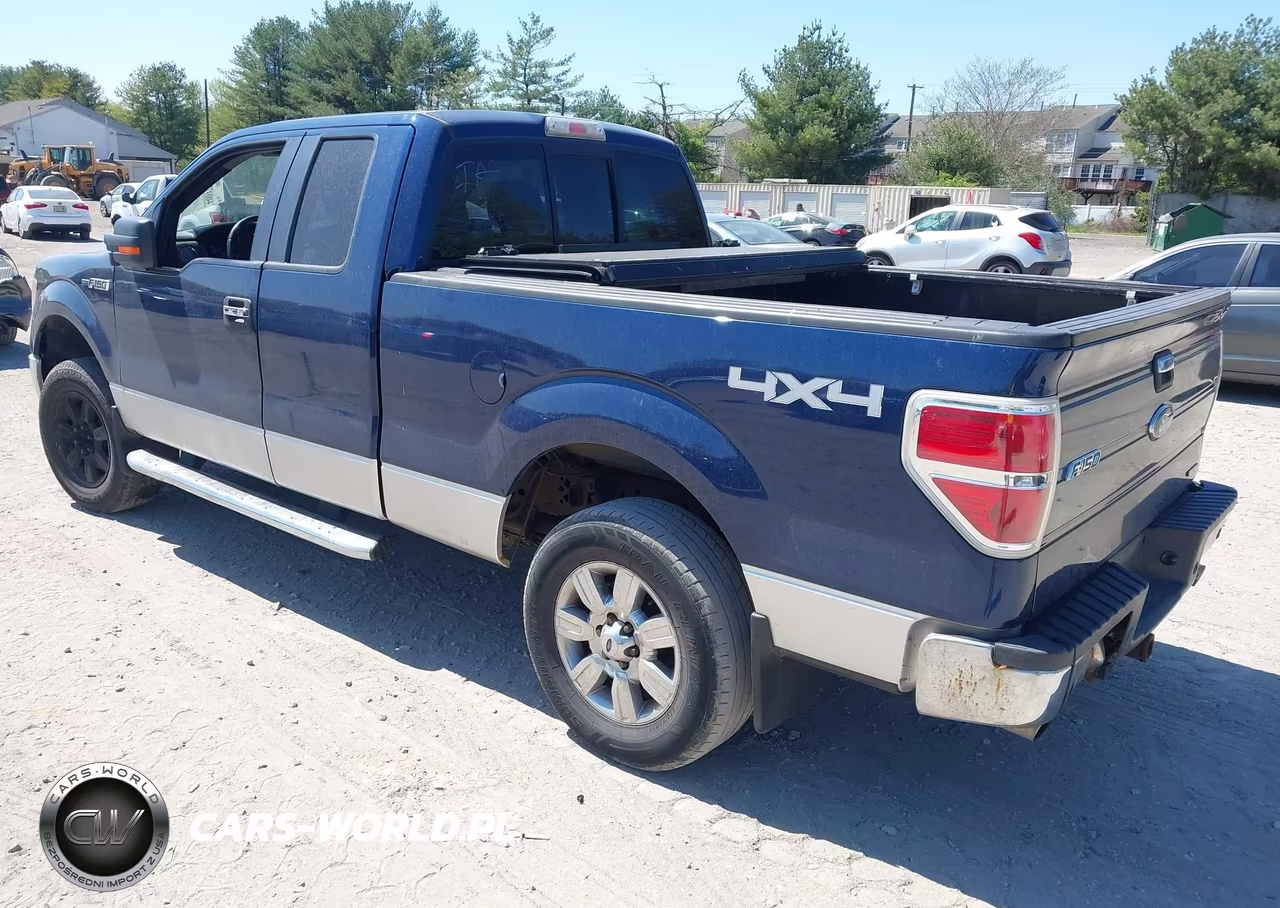 2011 Ford F-150 Xlt VIN:1FTFX1EF3BFA58077 - 3