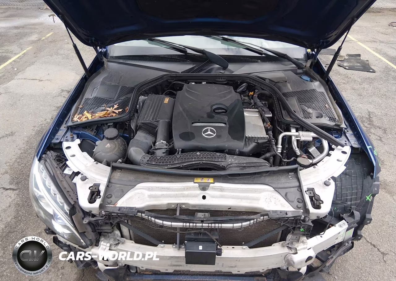 2018 Mercedes-Benz C 300 VIN:55SWF4JB8JU218608 - 10