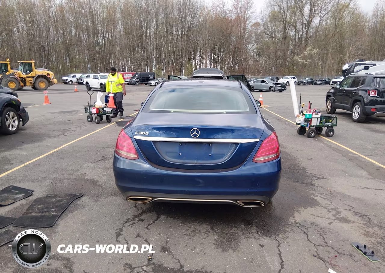 2018 Mercedes-Benz C 300 VIN:55SWF4JB8JU218608 - 16